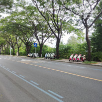 фото из отзыва ID 2714260