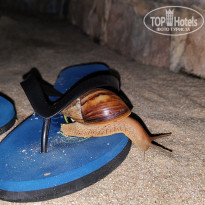 фото из отзыва ID 2714260