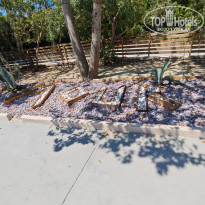 фото из отзыва ID 2714046