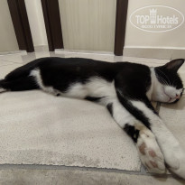 фото из отзыва ID 2714356