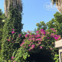 фото из отзыва ID 2714408