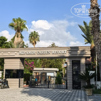 фото из отзыва ID 2714408