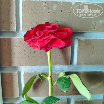 фото из отзыва ID 2714417