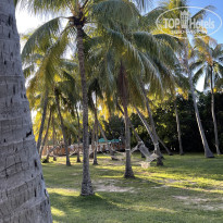 фото из отзыва ID 2714462