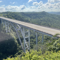 фото из отзыва ID 2714462