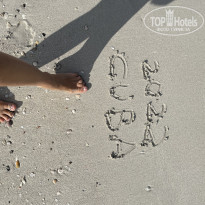 фото из отзыва ID 2714462