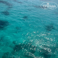 фото из отзыва ID 2714467