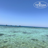 фото из отзыва ID 2714467