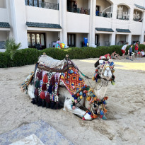 фото из отзыва ID 2714467