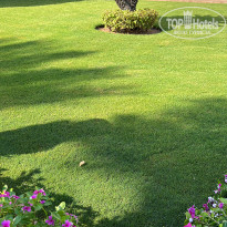 фото из отзыва ID 2714481