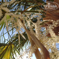 фото из отзыва ID 2714498