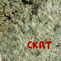 фото из отзыва ID 2714498