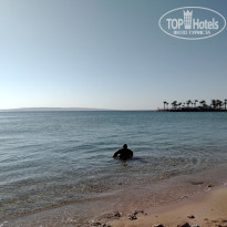 фото из отзыва ID 2714498