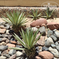 фото из отзыва ID 2714498