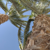 фото из отзыва ID 2714498