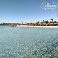 фото из отзыва ID 2714498