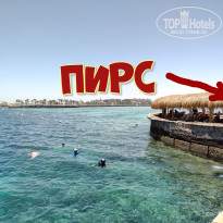 фото из отзыва ID 2714498