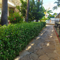 фото из отзыва ID 2714522