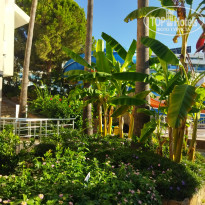 фото из отзыва ID 2714522