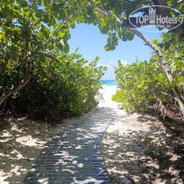 фото из отзыва ID 2714549