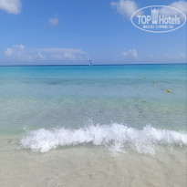 фото из отзыва ID 2714549