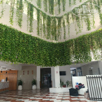 фото из отзыва ID 2714549