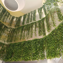 фото из отзыва ID 2714549