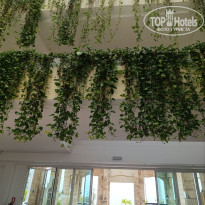 фото из отзыва ID 2714549