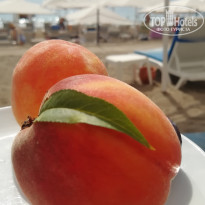 фото из отзыва ID 2714573