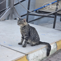 фото из отзыва ID 2714572