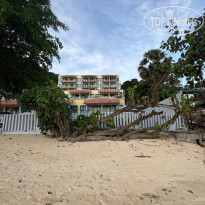 фото из отзыва ID 2714590