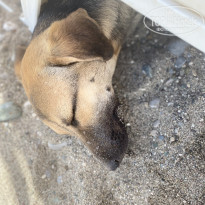 фото из отзыва ID 2714566