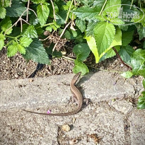 фото из отзыва ID 2714566