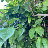 фото из отзыва ID 2714566