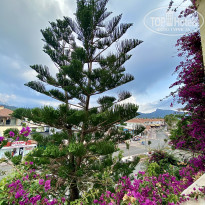 фото из отзыва ID 2714566