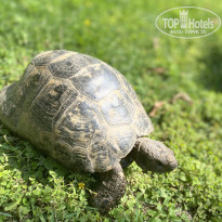 фото из отзыва ID 2714566