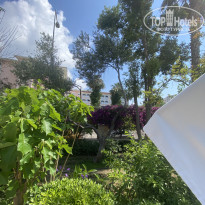 фото из отзыва ID 2714566