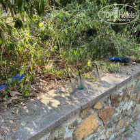 фото из отзыва ID 2714636