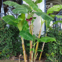 фото из отзыва ID 2714645