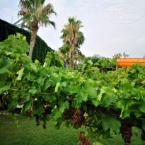 фото из отзыва ID 2714750