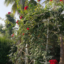 фото из отзыва ID 2714750