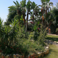 фото из отзыва ID 2714750