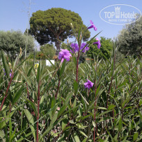 фото из отзыва ID 2714750