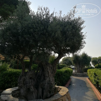 фото из отзыва ID 2714750