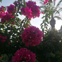 фото из отзыва ID 2714750