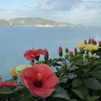 фото из отзыва ID 2714770