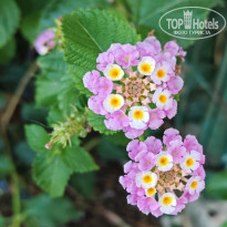 фото из отзыва ID 2714773