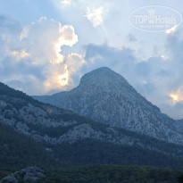 фото из отзыва ID 2714773