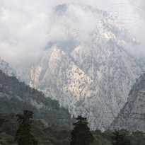 фото из отзыва ID 2714773