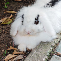 фото из отзыва ID 2714773